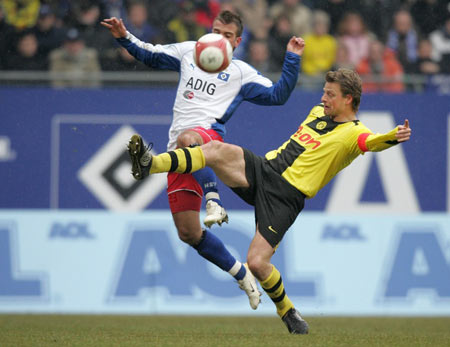 養了大量潛 養了大量潛